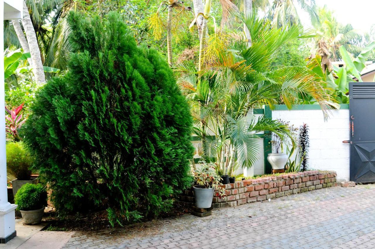 Myr-o Homestay Kombichankulama Luaran gambar