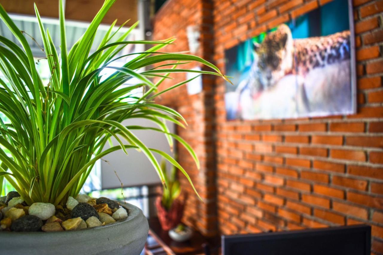 Myr-o Homestay Kombichankulama Luaran gambar
